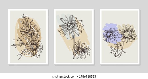 Botanical chamomile wall art vector set. Minimalist boho foliage line art drawing with abstract shape. Abstract Plant Art design for print, cover, wallpaper, Minimal and natural wall art.