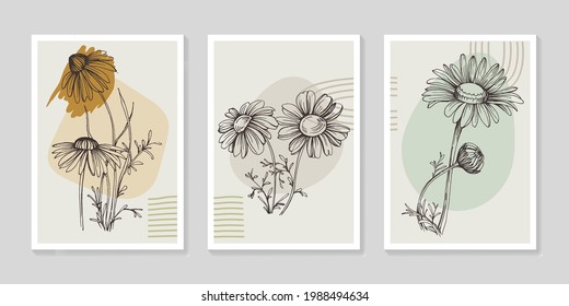 Botanical chamomile wall art vector set. Minimalist boho foliage line art drawing with abstract shape. Abstract Plant Art design for print, cover, wallpaper, Minimal and natural wall art.