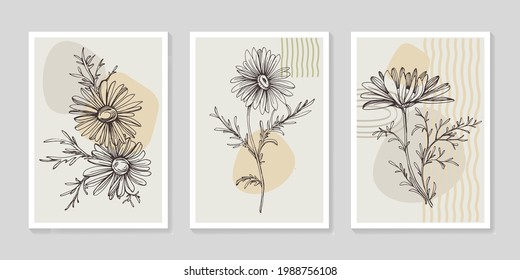 Botanical chamomile wall art vector set. Minimalist boho foliage line art drawing with abstract shape. Abstract Plant Art design for print, cover, wallpaper, Minimal and natural wall art.