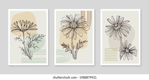 Botanical chamomile wall art vector set. Minimalist boho foliage line art drawing with abstract shape. Abstract Plant Art design for print, cover, wallpaper, Minimal and natural wall art.