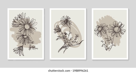 Botanical chamomile wall art vector set. Minimalist boho foliage line art drawing with abstract shape. Abstract Plant Art design for print, cover, wallpaper, Minimal and natural wall art.
