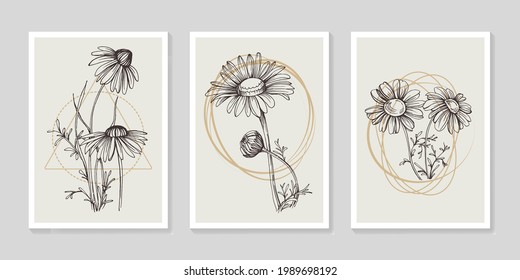 Botanical chamomile wall art vector set. Minimalist boho foliage line art drawing with abstract shape. Abstract Plant Art design for print, cover, wallpaper, Minimal and natural wall art.