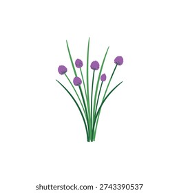 Botanical Chives Herb Flat Vector Illustration Icon