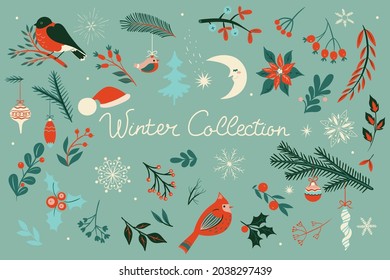 Botanical Christmas elements, winter flowers, leaves, birds. Vector graphics.