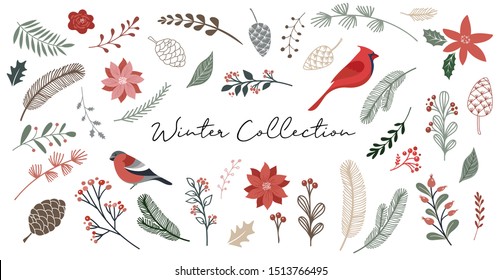 Botanical Christmas, Xmas elements, winter flowers, leaves, birds and pinecones isolated on white backgrounds. 