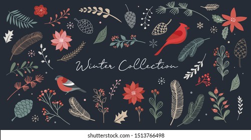 Botanical Christmas, Xmas elements, winter flowers, leaves, birds and pinecones isolated on white backgrounds. 