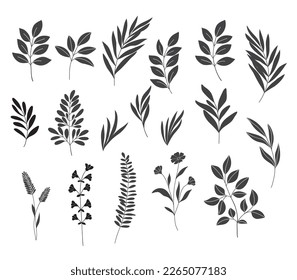 Botanical clip art. Line art vector wildflowers sketch. Line drawn leaves and branches