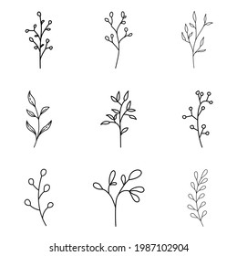 Botanical Clipart Hand Drawn Floral Leaves Leaf Flowers eps 10 Vector
