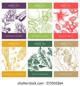 Botanical collection of decorative designs with hand drawn herbal tea ingredients. Vector set of vintage templates with herbs and spice sketch 