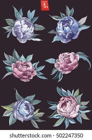 Botanical collection design floral elements. Peonies flower bouquet
