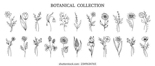 Botanical collection of hand drawn flowers and plants in doodle style. Sketch, line art. Icons, templates, decor elements, vector	
