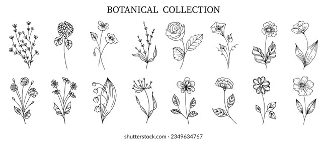Botanical collection of hand drawn flowers and plants in doodle style. Sketch, line art. Icons, templates, decor elements, vector	
