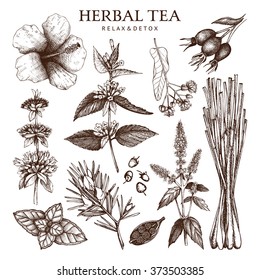 Botanical Collection Of Hand Drawn Herbal Tea Ingredients. Decorative Vector Set Of Vintage Herbs And Spice Sketch Isolated On White. 