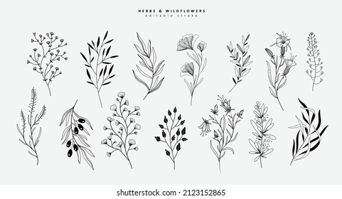 Botanical collection of herbs and wildflowers. Editable stroke. Hand drawn line wedding herb, elegant leaves for invitation save the date card. Floral rustic trendy greenery