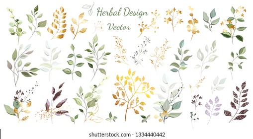 Botanical collection. Set: green and gold leaves, bouquets, twigs, herbs, other vector elements.