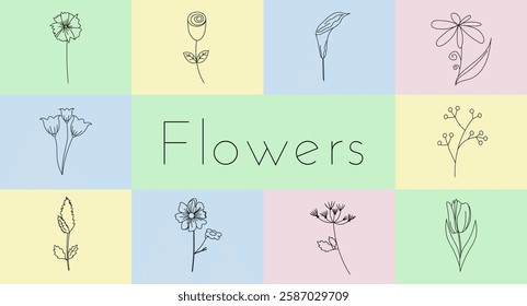 Botanical collection of spring flower elements. Set of wildflower in linear style in multicolored rectangles. Vector illustration for banners, clipart, Easter, social media