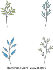 Botanical color illustrations, vector set with drawn leaves, herbs and flowers, collection of flowers isolated on a white background