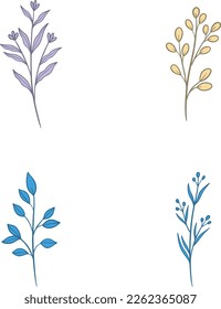 Ilustraciones de color botánico, vectores con hojas dibujadas, hierbas y flores, colección de flores aisladas en un fondo blanco