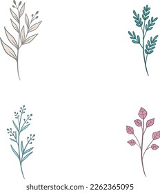 Botanical color illustrations, vector set with drawn leaves, herbs and flowers, collection of flowers isolated on a white background