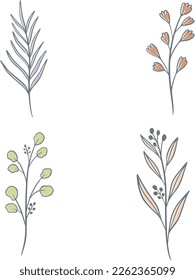 Botanical color illustrations, vector set with drawn leaves, herbs and flowers, collection of flowers isolated on a white background