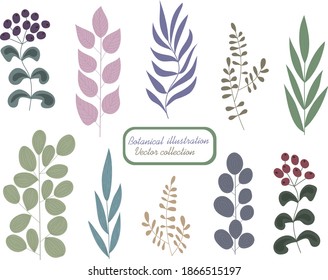 Botanical color set. Branches of trees and herbs with different leaves and berries. Natural graphic elements for your design of, greeting cards, gift packaging. decoration of a blog or website page. 