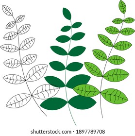 Botanical color set. Branches of trees with different color, branch line, branch with fill, branch with stroke and fill .Natural graphic elements for you design , greeting cards and other. 