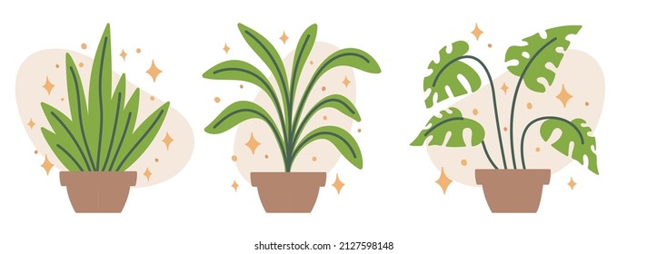 Botanical concept with set of home potted plants in trendy flat style. Isolated vector illustration on white background.