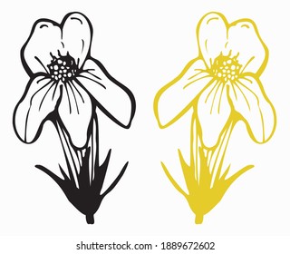 Botanische Konturzeichnung einer Blume