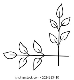 Botanical corner, ornament of flowers and leaves for decoration