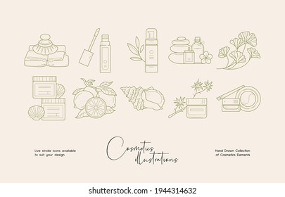 Botanical cosmetics line art illustration set. Hand drawn natural organic cosmetics brand identity templates.