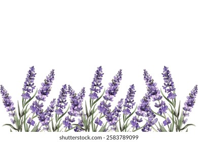 Botanical decoration with lavender plants, violet blossomed herbs, French blooms and leaf.