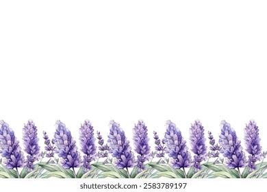 Botanical decoration with lavender plants, violet blossomed herbs, French blooms and leaf.