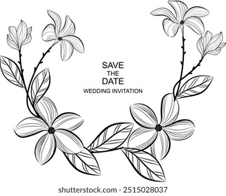 Botanical decorative frame design set . Hand drawn floral borders and divider with branch vector illustration on white isolated background