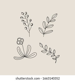 Botanical design hand drawing black and white minimal tattoo icon isolated vector illustration