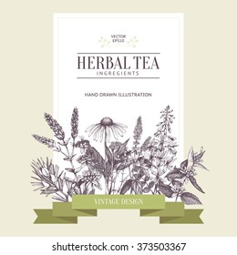 Botanical Design With Hand Drawn Herbal Tea Ingredients. Decorative  Colorful Background With Vintage Herbs And Spice Sketch. Vector Template