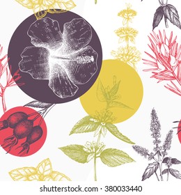 Botanical design with hand drawn herbal tea ingredients. Decorative colorful background with vintage herbs and spice sketch. Herbal seamless pattern. Abstract vector illustration