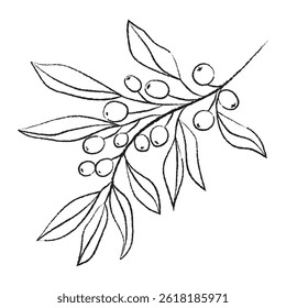 Botanical doodle illustration of a branch with berries and leaves, hand-drawn black line art on white background, simple natural sketch for eco design, decoration, or print projects