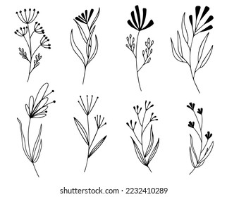 Botanical doodle set. A bunch of floral ornaments, hand drawn with contour lines. Elegant vector illustration.