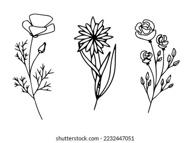 Botanical doodle set. A bunch of floral ornaments, hand drawn with contour lines. Elegant vector illustration.