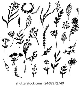 botanical doodle vector elements, leaves and branches and flowers contour 