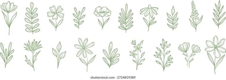 Botânico doodles vetor flores minúsculas e plantas linha arte ilustração clip arte conjunto