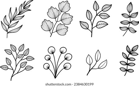 Botanical drawing, Floral branch and minimalist leaves for logo, greeting, wedding or tattoo. Hand drawn line wedding herb, elegant wildflowers. Minimal line art drawing for print, banner, ornament