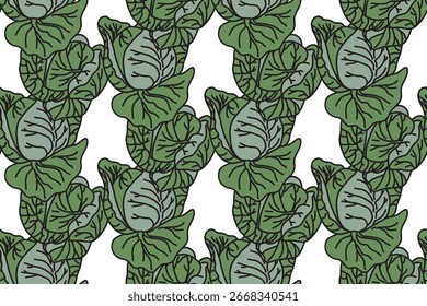 Botanical drawing green cabbages seamless pattern vector illustration.Repeating cartoon vegetables in white background. Graphic design for Cover Fashion Textile Greeting Card Birthday Invitation Flyer