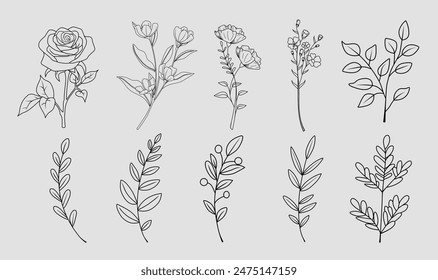 Botanical drawing. Minimal plant line , botanical graphic sketch drawing, meadow greenery, leaf and blooming flower abstract sketch element collection, rustic branch. Trendy tiny tattoo design, floral