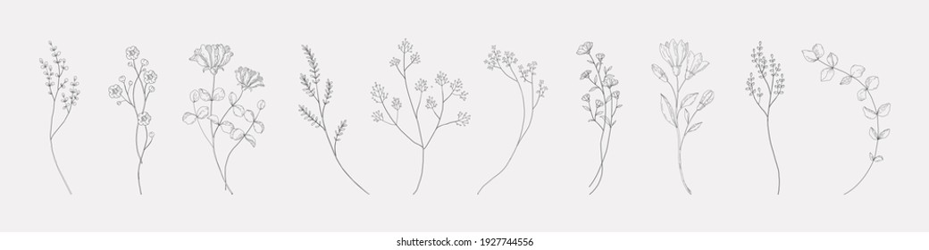 Botanical Drawing. Minimal Plant Logo, Meadow Greenery, Leaf And Blooming Flower Abstract Sketch Element Collection, Linear Rustic Branch. Vector Hand Drawn Wedding Invitation Bouquet Decoration Set