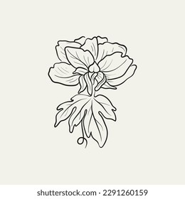 Botanical drawing. Minimal plant logo, botanical graphic sketch drawing,  meadow greenery, leaf and blooming flower abstract sketch element collection, rustic branch. Trendy tiny tattoo design, floral