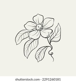 Botanical drawing. Minimal plant logo, botanical graphic sketch drawing,  meadow greenery, leaf and blooming flower abstract sketch element collection, rustic branch. Trendy tiny tattoo design, floral