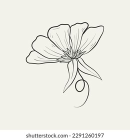 Botanical drawing. Minimal plant logo, botanical graphic sketch drawing,  meadow greenery, leaf and blooming flower abstract sketch element collection, rustic branch. Trendy tiny tattoo design, floral