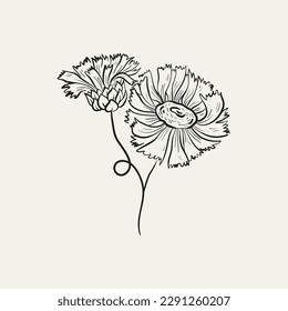 Botanical drawing. Minimal plant logo, botanical graphic sketch drawing,  meadow greenery, leaf and blooming flower abstract sketch element collection, rustic branch. Trendy tiny tattoo design, floral