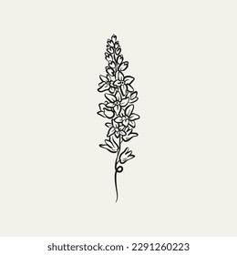 Botanical drawing. Minimal plant logo, botanical graphic sketch drawing,  meadow greenery, leaf and blooming flower abstract sketch element collection, rustic branch. Trendy tiny tattoo design, floral